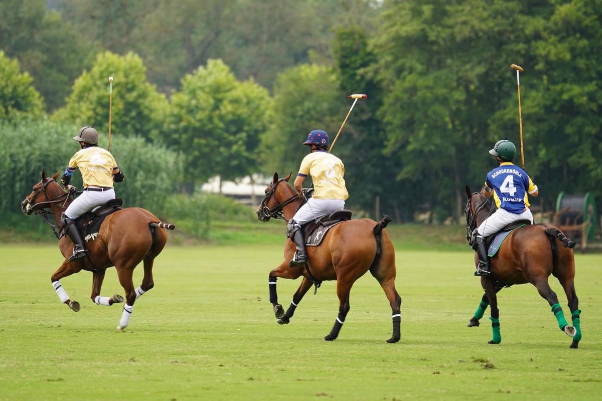 What Actually Makes a Polo Shirt Expensive