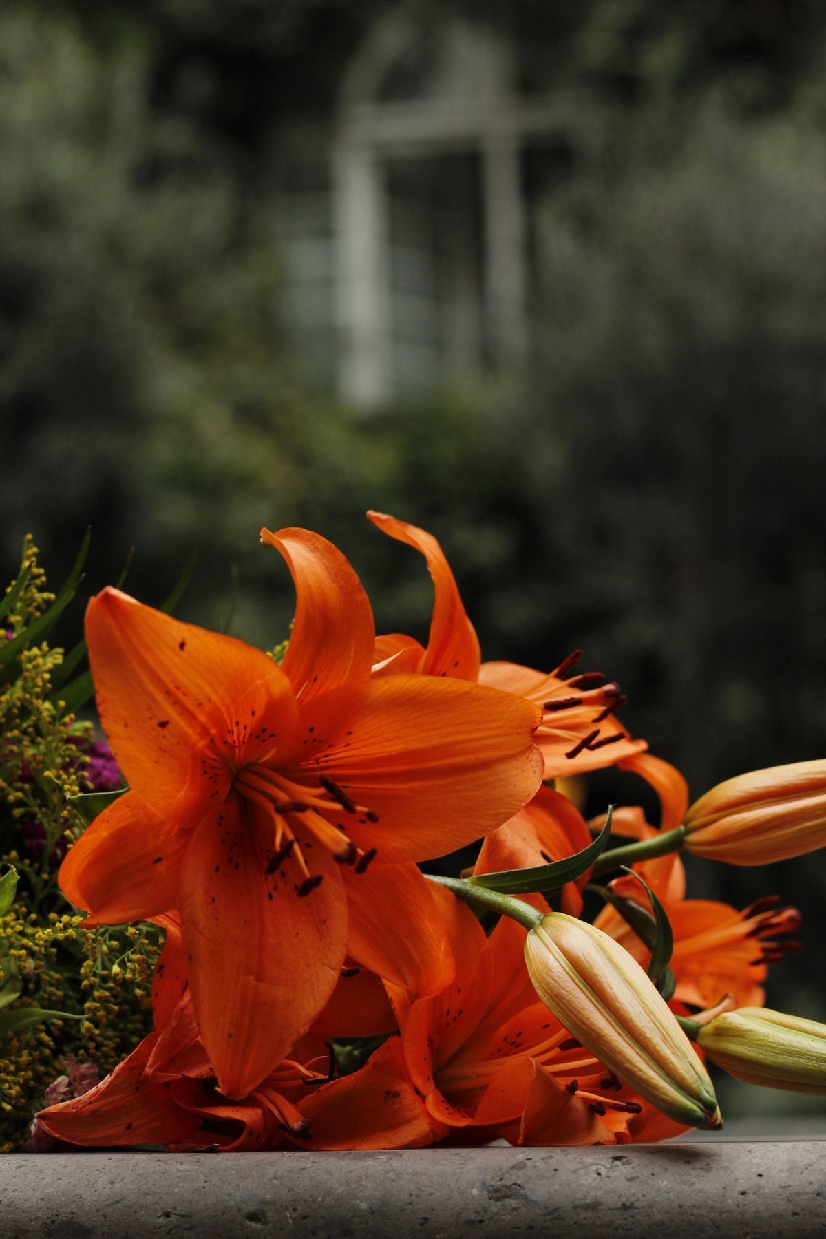 The Fleur-de-Lis: What the Symbol Actually Means